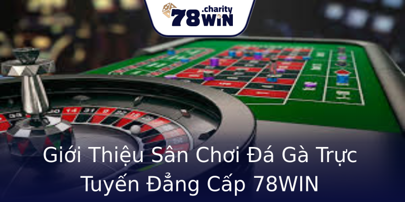 Giới Thiệu Sân Chơi Đá Gà Trực Tuyến Đẳng Cấp 78WIN Giới Thiệu Sân Chơi Đá Gà Trực Tuyến Đẳng Cấp 78WIN