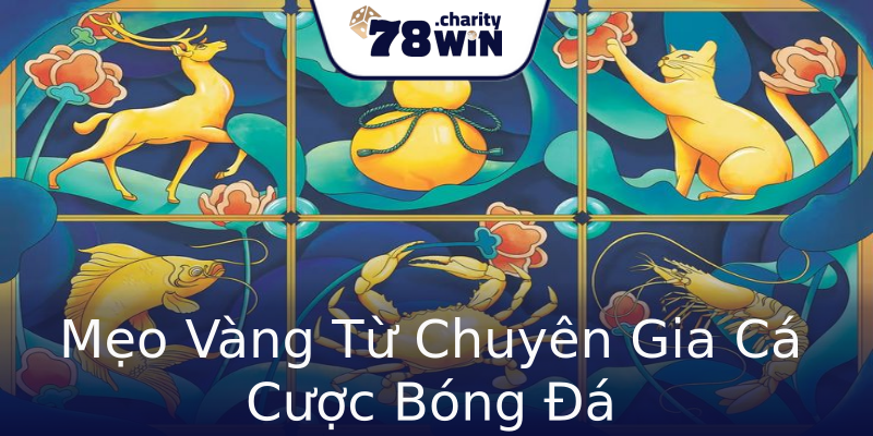Mẹo Vàng Từ Chuyên Gia Cá Cược Bóng Đá Mẹo Vàng Từ Chuyên Gia Cá Cược Bóng Đá